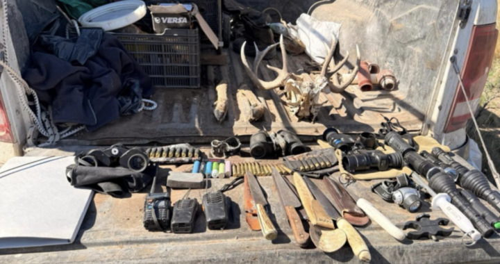 OPERATIVOS CONTRA LA CAZA ILEGAL: SECUESTROS, ALLANAMIENTOS Y CARNE SIN CONTROL EN VARIAS LOCALIDADES